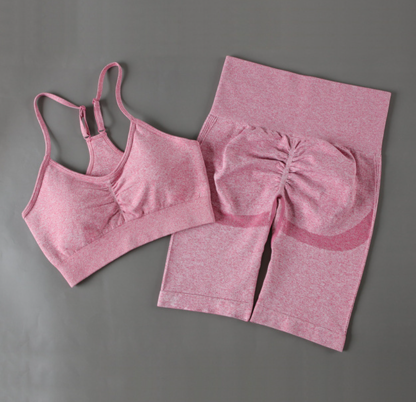 Women's 2-Piece Quick-Dry Fitness Outfit