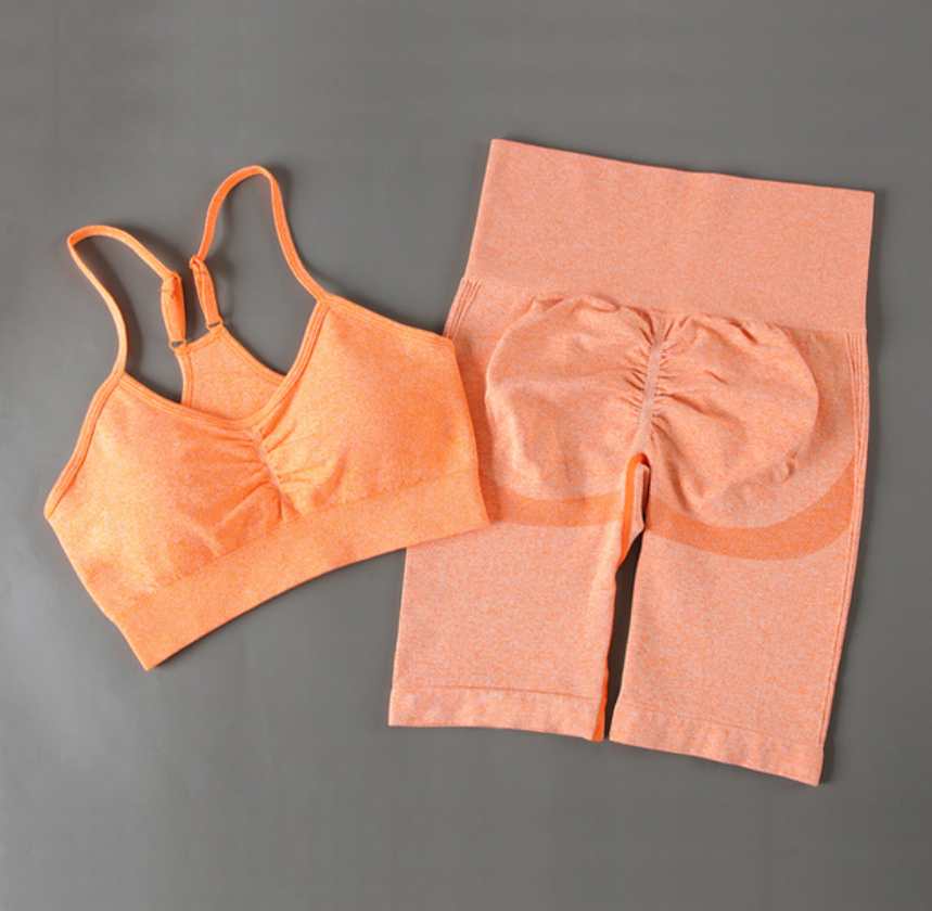 Women's 2-Piece Quick-Dry Fitness Outfit