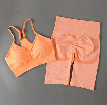 Women's 2-Piece Quick-Dry Fitness Outfit