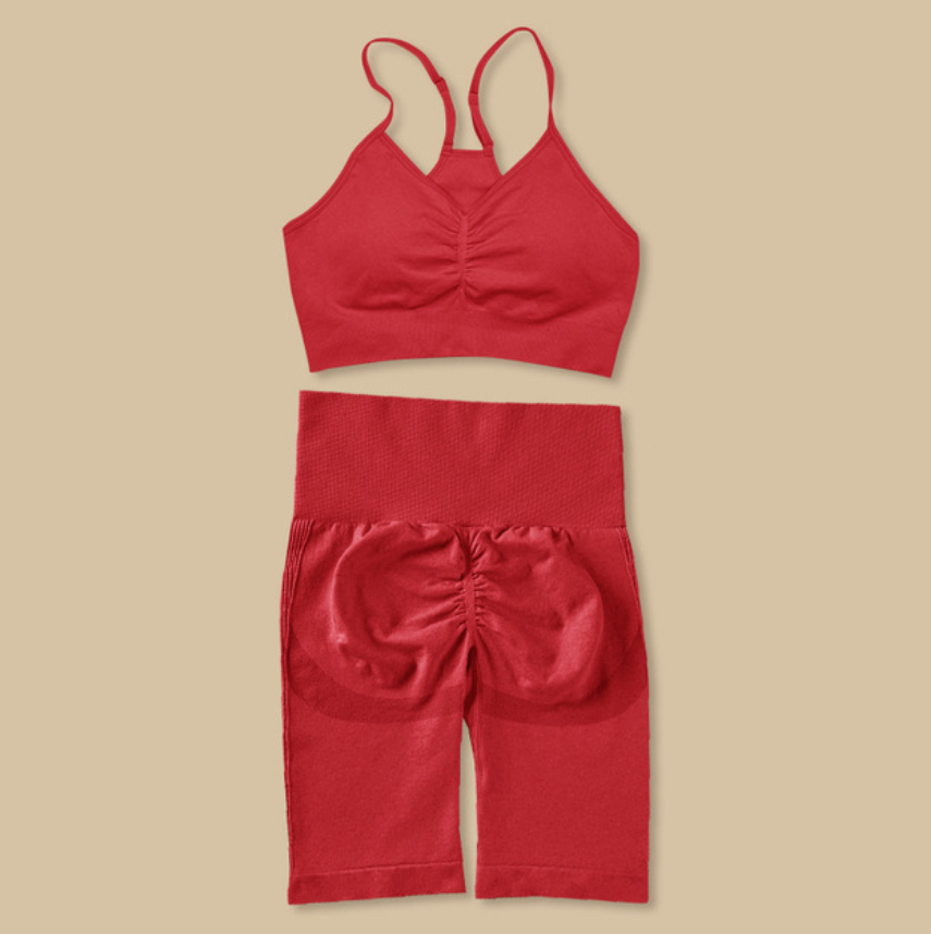Women's 2-Piece Quick-Dry Fitness Outfit